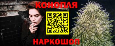 прущие грибы Усть-Джегута