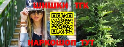 прущие грибы Усть-Джегута
