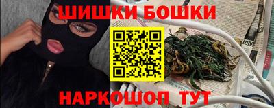 прущие грибы Усть-Джегута