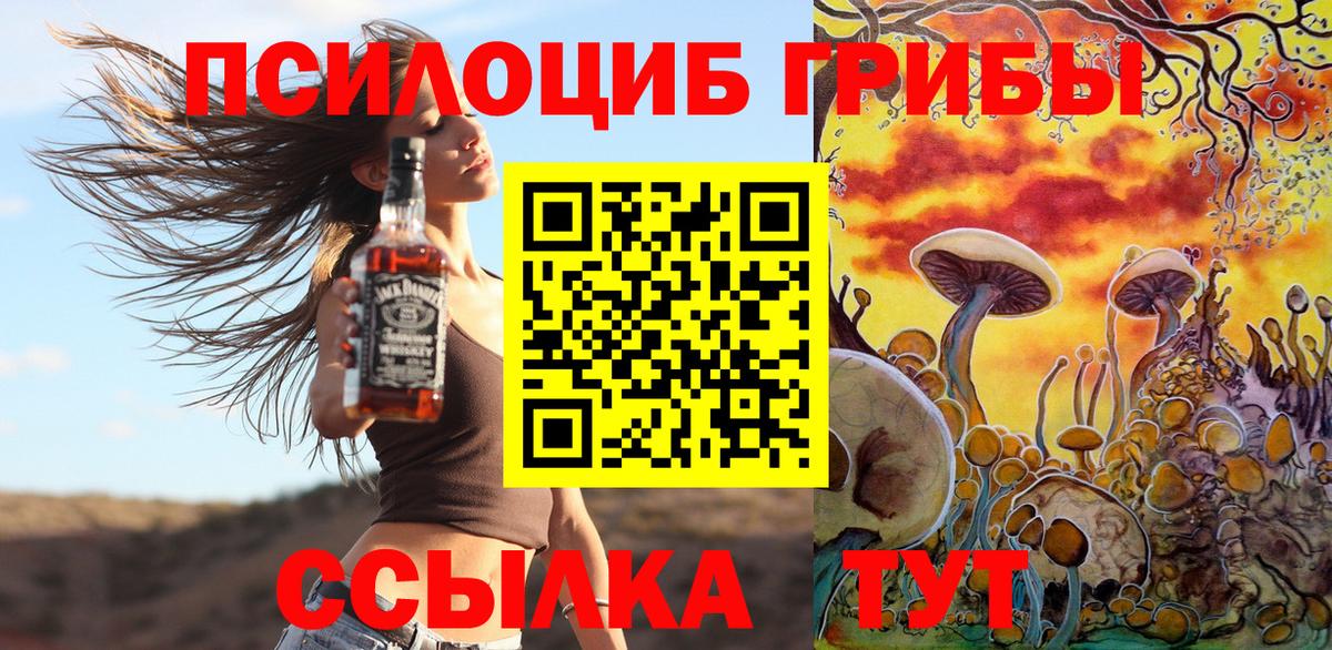 Псилоцибиновые грибы Cubensis Острогожск