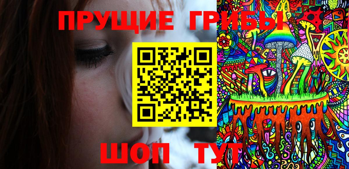 Галлюциногенные грибы мицелий  Псилоцибиновые грибы мухоморы  продажа наркотиков  Вход с VPN  Острогожск 